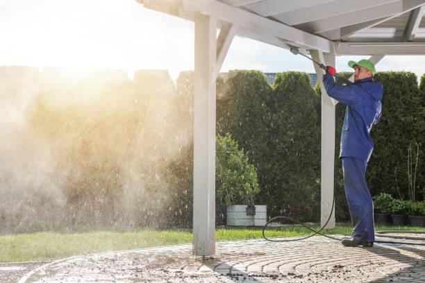 Best Pre-Holiday Cleaning  in Cowarts, AL